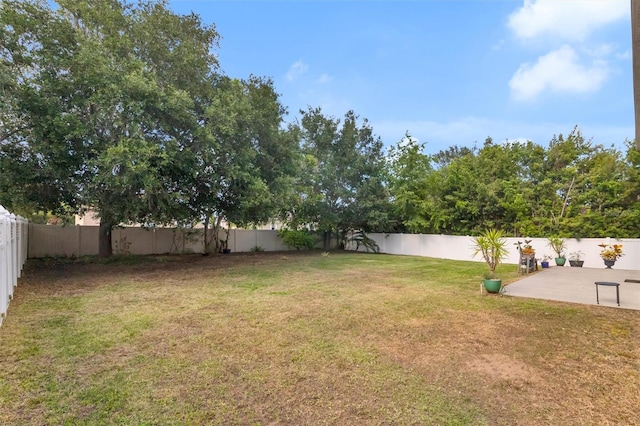 2658 Palmetto Ridge Cir, Apopka, FL 32712 - view of yard with a patio area