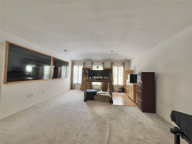 2658 Palmetto Ridge Cir, Apopka, FL 32712 - living area featuring light carpet, healthy amount of natural light, a textured ceiling, and baseboards