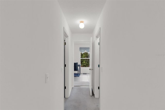 2658 Palmetto Ridge Cir, Apopka, FL 32712 - hall featuring finished concrete flooring