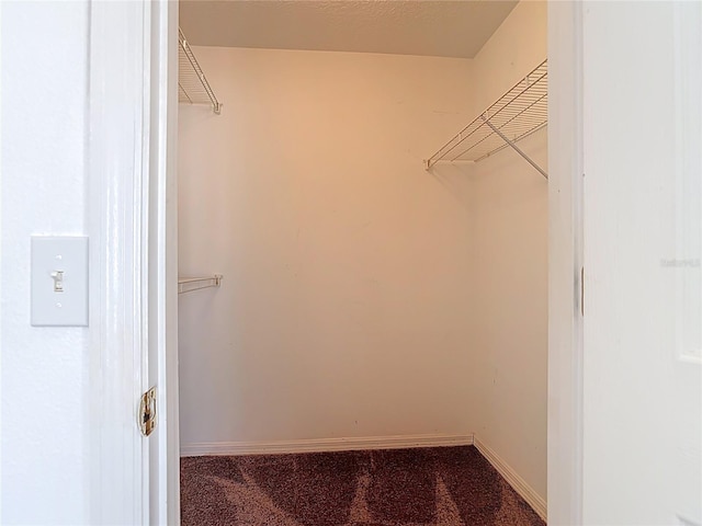 walk in closet featuring carpet