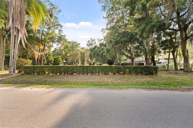 43 Interlaken Rd, Orlando, FL 32804 - photo 18