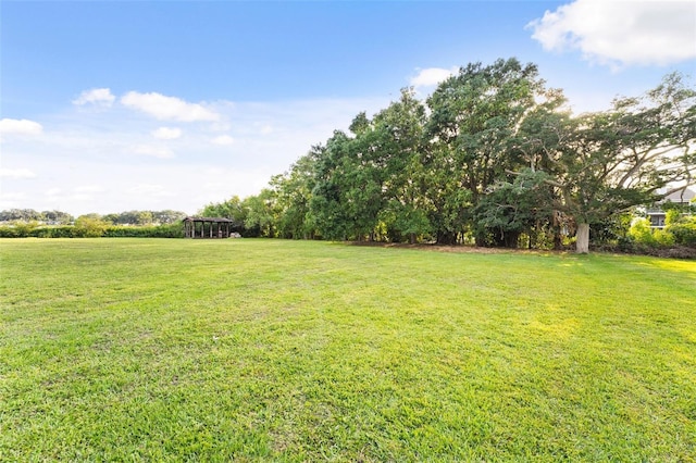 43 Interlaken Rd, Orlando, FL 32804 - photo 21