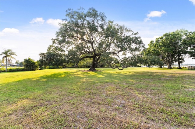 43 Interlaken Rd, Orlando, FL 32804 - photo 22