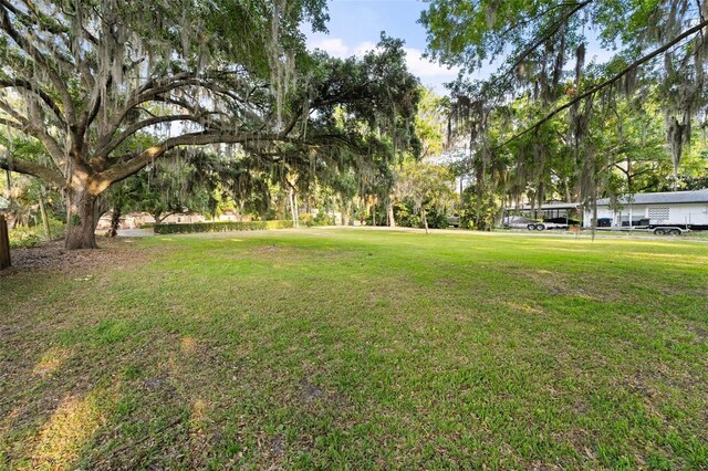 43 Interlaken Rd, Orlando, FL 32804 - photo 23