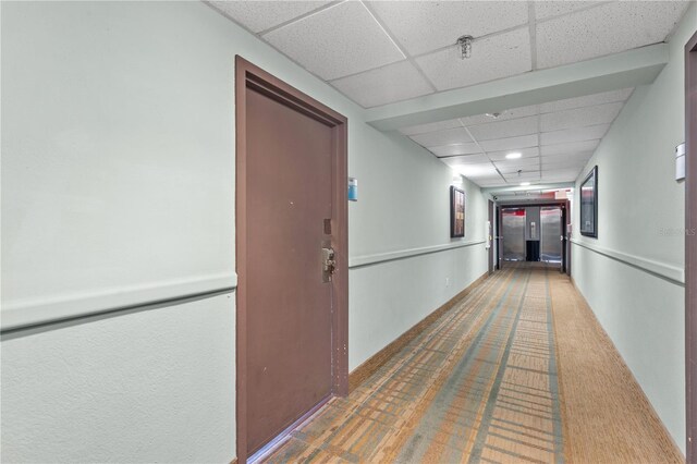 corridor with carpet floors and a drop ceiling