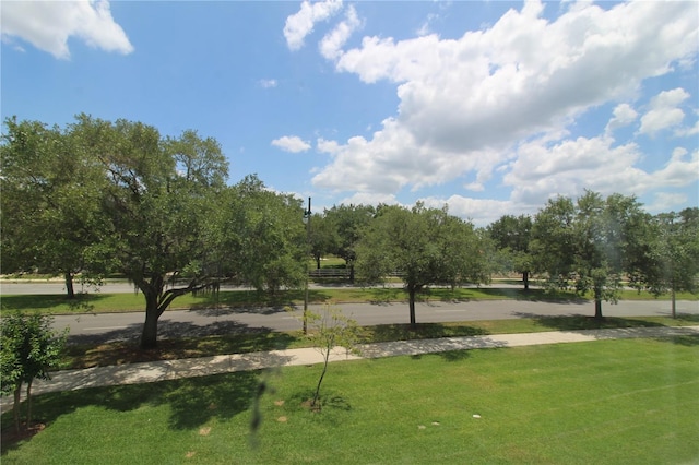 view of community featuring a yard