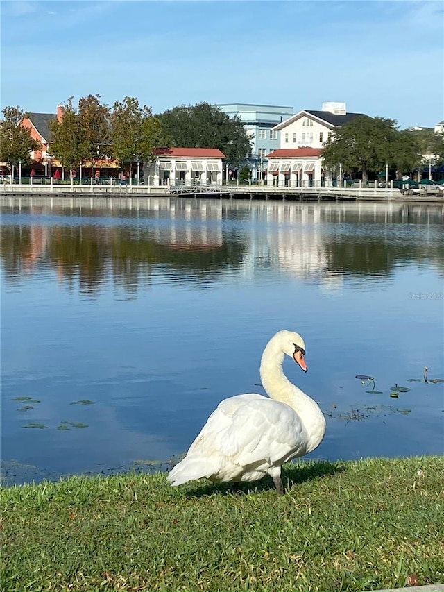 280 Celebration Blvd Unit 208, Kissimmee, FL 34747 - water view