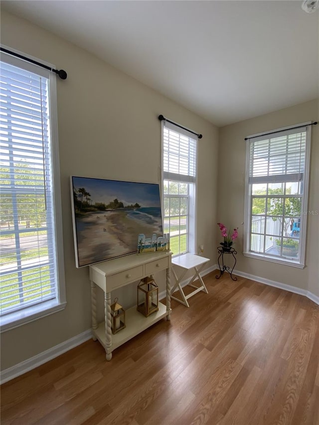 280 Celebration Blvd Unit 208, Kissimmee, FL 34747 - living area with light wood-type flooring and healthy amount of natural light