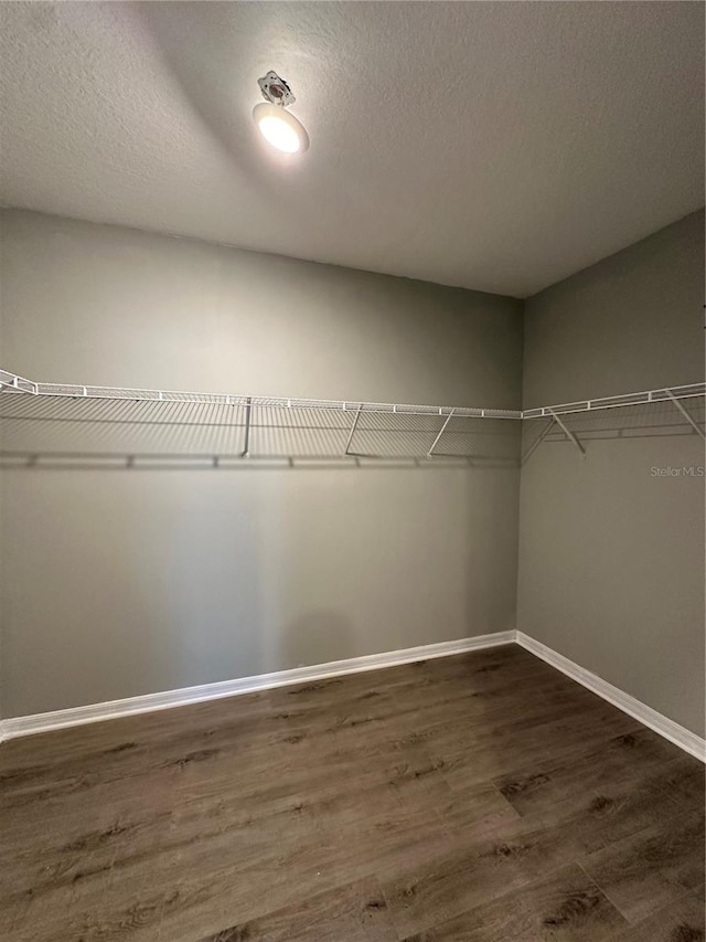 13344 Great Plains Dr S, Riverview, FL 33579 - spacious closet with dark wood finished floors