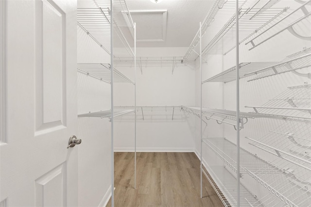 walk in closet featuring wood finished floors
