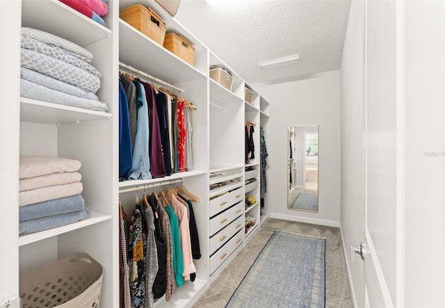 spacious closet featuring light colored carpet