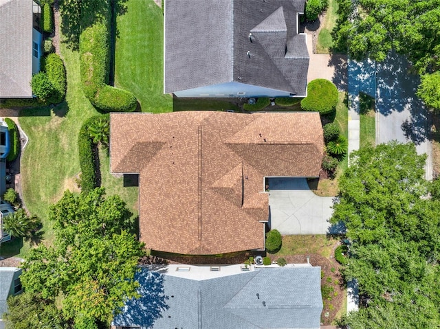 drone / aerial view
