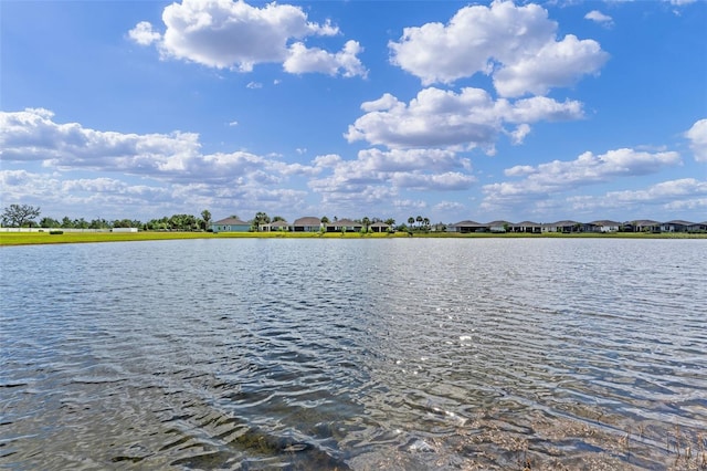 6121 Blue Pond Way, Saint Cloud, FL 34771 - photo 4