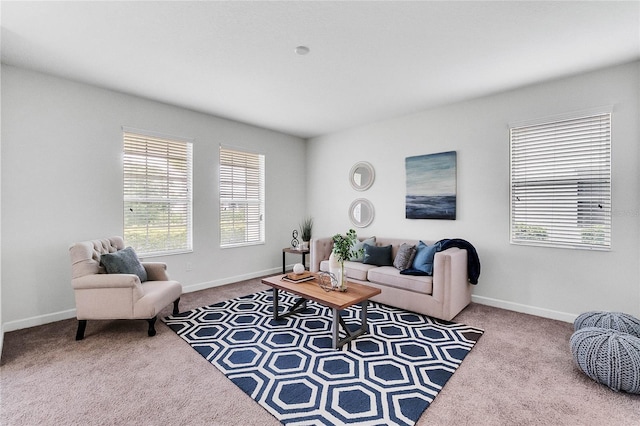 living area featuring baseboards and carpet