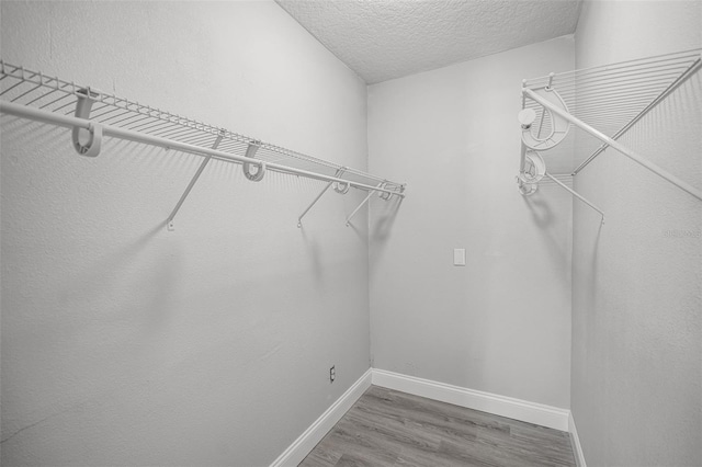 2105 9th St NE, Winter Haven, FL 33880 - spacious closet with wood finished floors