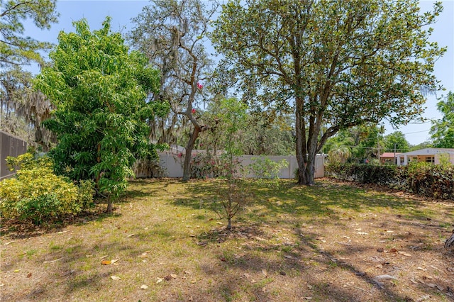 1108 Gibson St, Leesburg, FL 34748 - view of yard