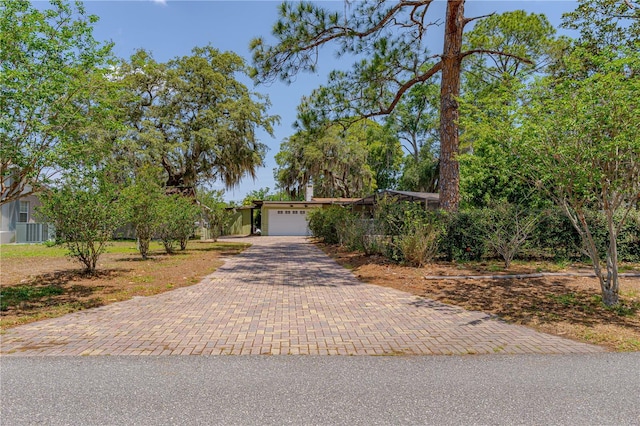 1108 Gibson St, Leesburg, FL 34748 - view of front of home featuring decorative driveway and an attached garage
