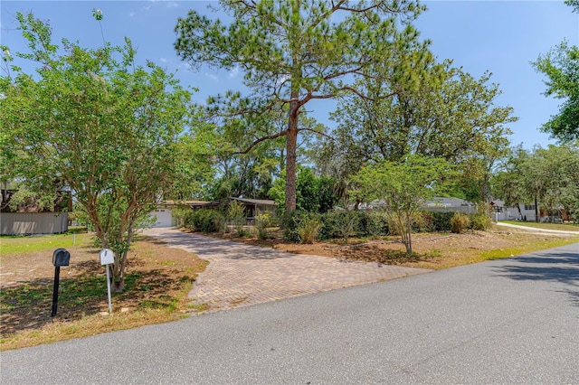 1108 Gibson St, Leesburg, FL 34748 - view of property hidden behind natural elements with decorative driveway