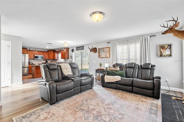1555 Seminole Run Rd, Osteen, FL 32764 - living area with a textured ceiling, baseboards, and light wood finished floors