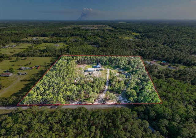 1555 Seminole Run Rd, Osteen, FL 32764 - drone / aerial view with a view of trees