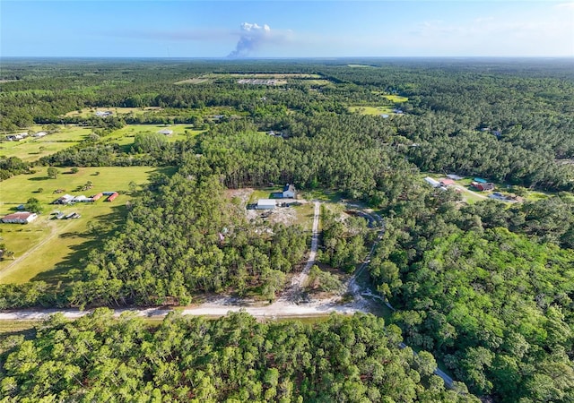 1555 Seminole Run Rd, Osteen, FL 32764 - bird's eye view featuring a forest view