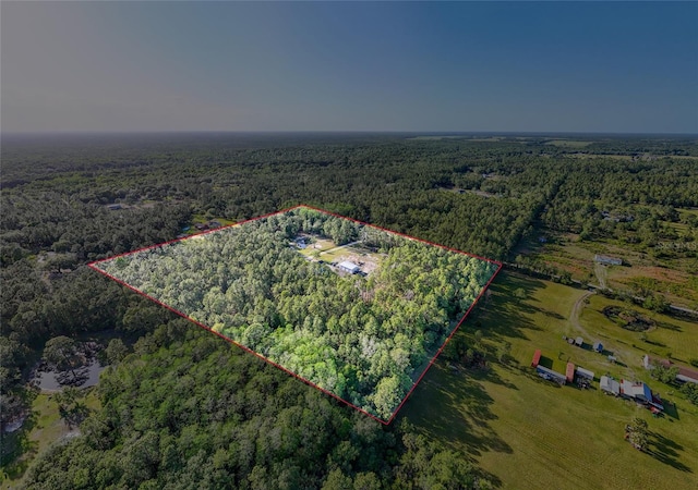 1555 Seminole Run Rd, Osteen, FL 32764 - birds eye view of property featuring a wooded view