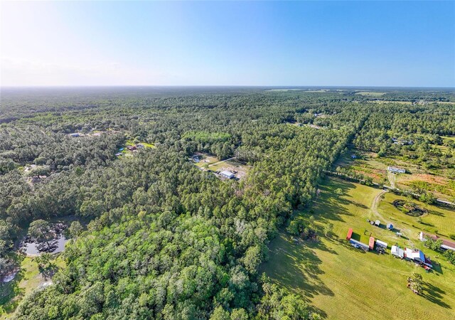 1555 Seminole Run Rd, Osteen, FL 32764 - birds eye view of property featuring a wooded view