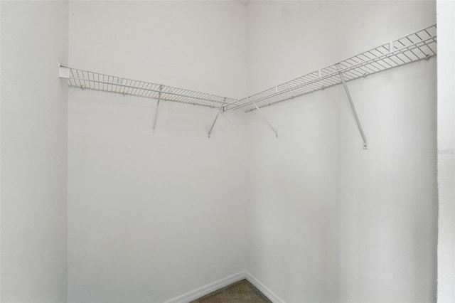 spacious closet with carpet floors