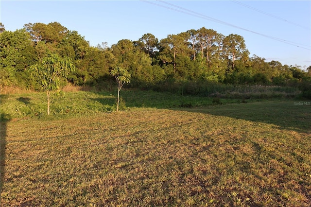 view of yard with a forest view