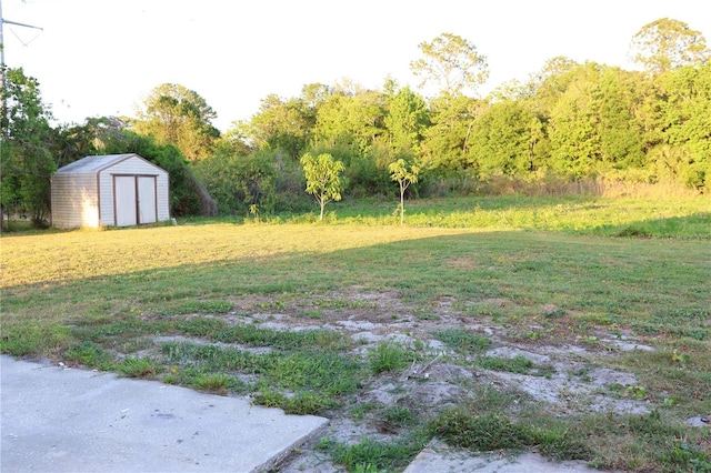 view of yard with an outdoor structure and a shed