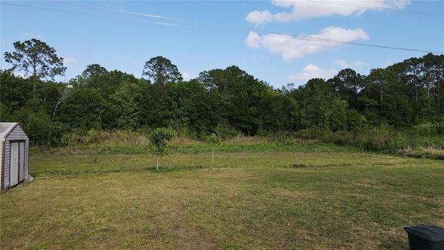 view of yard featuring a wooded view