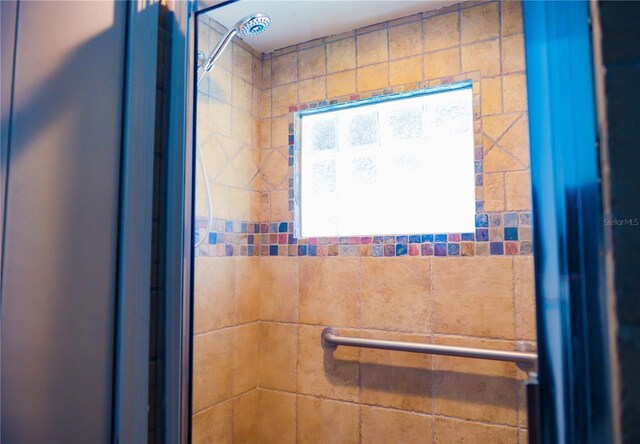 530 Webster St, Lake Mary, FL 32746 - bathroom with a shower
