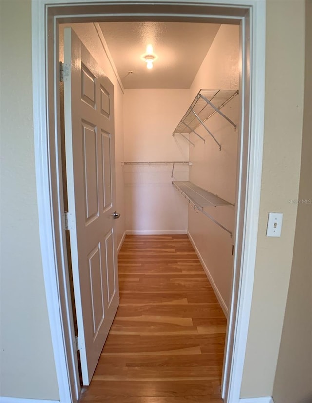 walk in closet featuring light wood finished floors