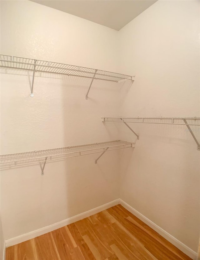 spacious closet with light wood finished floors