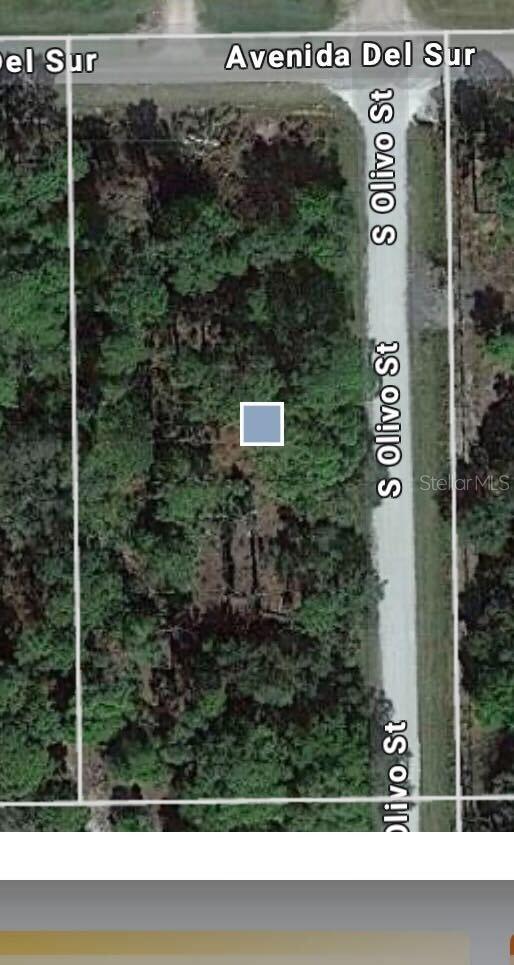439 Avenida Del Sur, Clewiston, FL 33440 - photo 2