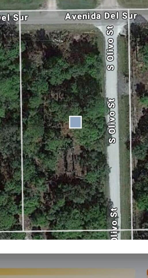 439 Avenida Del Sur, Clewiston, FL 33440 - photo 2