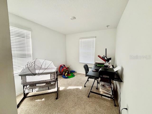 office area featuring baseboards and carpet