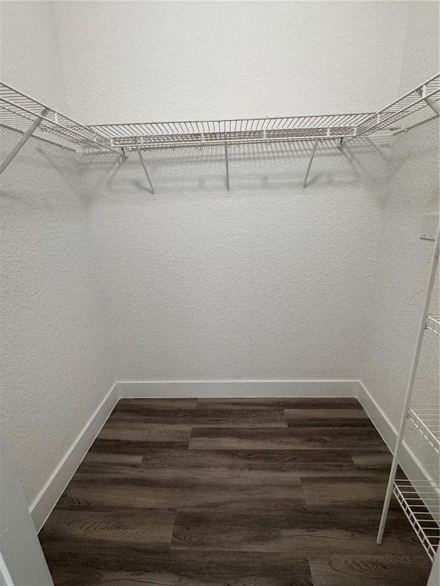 7147 Yacht Basin Ave Unit 119, Orlando, FL 32835 - walk in closet featuring dark wood-style floors