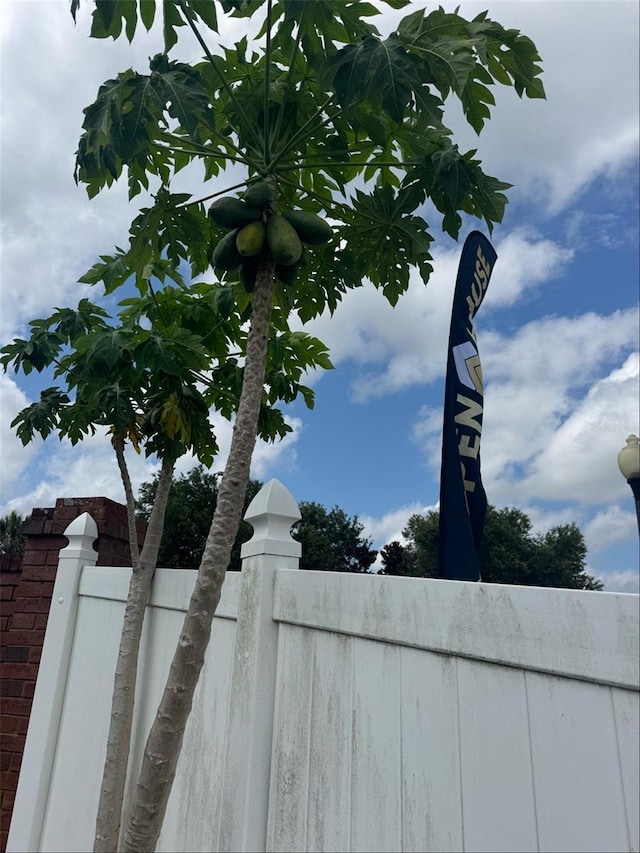 16780 Meadows St, Clermont, FL 34714 - exterior view