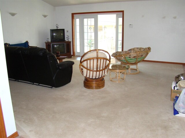 11624 Delmar Ave, Orlando, FL 32836 - carpeted living area with baseboards