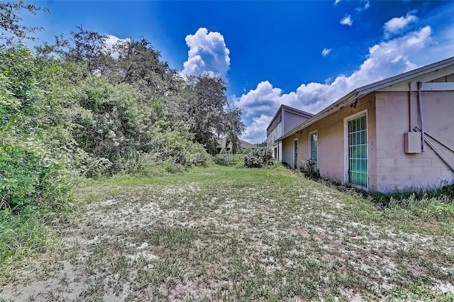 11624 Delmar Ave, Orlando, FL 32836 - view of yard