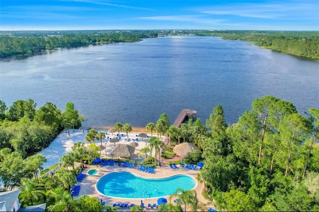 bird's eye view with a water view and a forest view