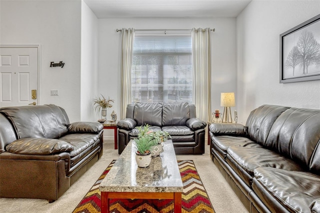 344 Cadiz Loop, Davenport, FL 33837 - living area featuring light carpet