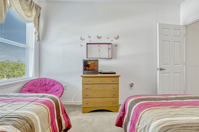 344 Cadiz Loop, Davenport, FL 33837 - bedroom featuring carpet flooring and baseboards