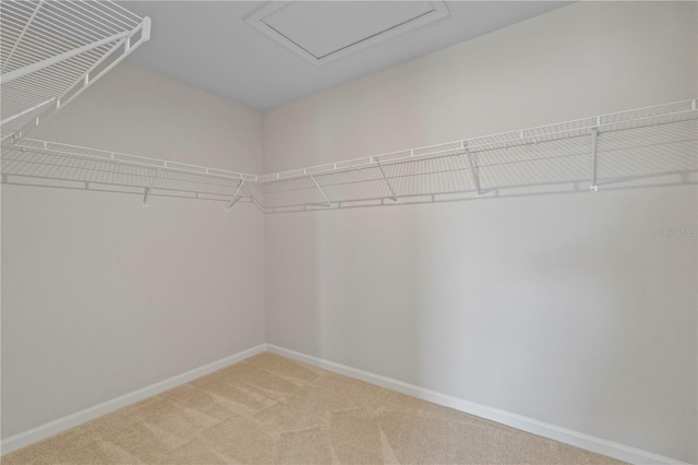 spacious closet with light colored carpet