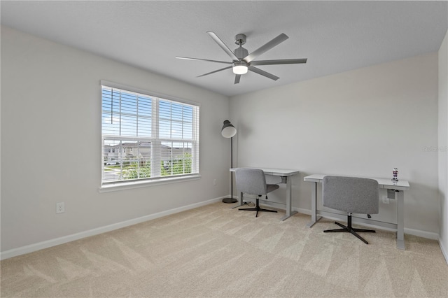 office with ceiling fan, baseboards, and carpet