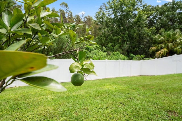 30643 Tremont Dr, Wesley Chapel, FL 33543 - photo 49