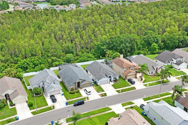 30643 Tremont Dr, Wesley Chapel, FL 33543 - photo 59
