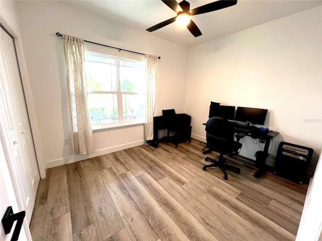 6709 SW 15th Pl, Gainesville, FL 32607 - office featuring light wood-style flooring, ceiling fan, and baseboards