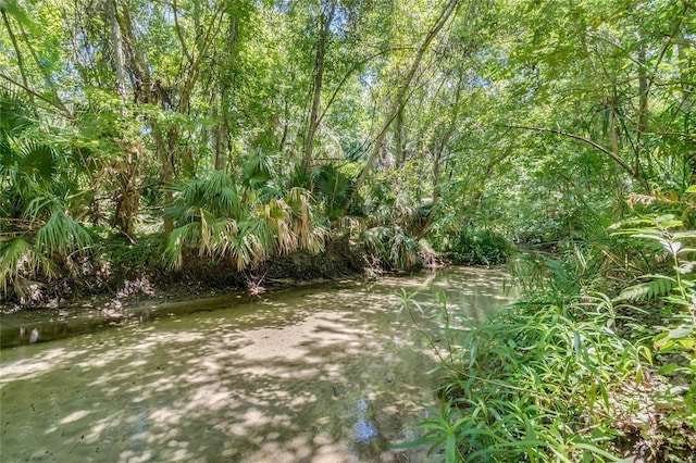 111 Crown Oaks Way Unit 101, Longwood, FL 32779 - view of yard